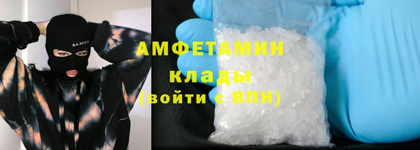 прущие грибы Абаза