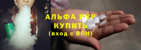 прущие грибы Абаза