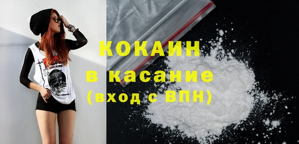 прущие грибы Абаза