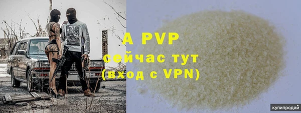 прущие грибы Абаза