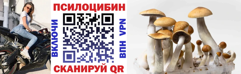 наркошоп  Новоалександровск  Псилоцибиновые грибы Cubensis 